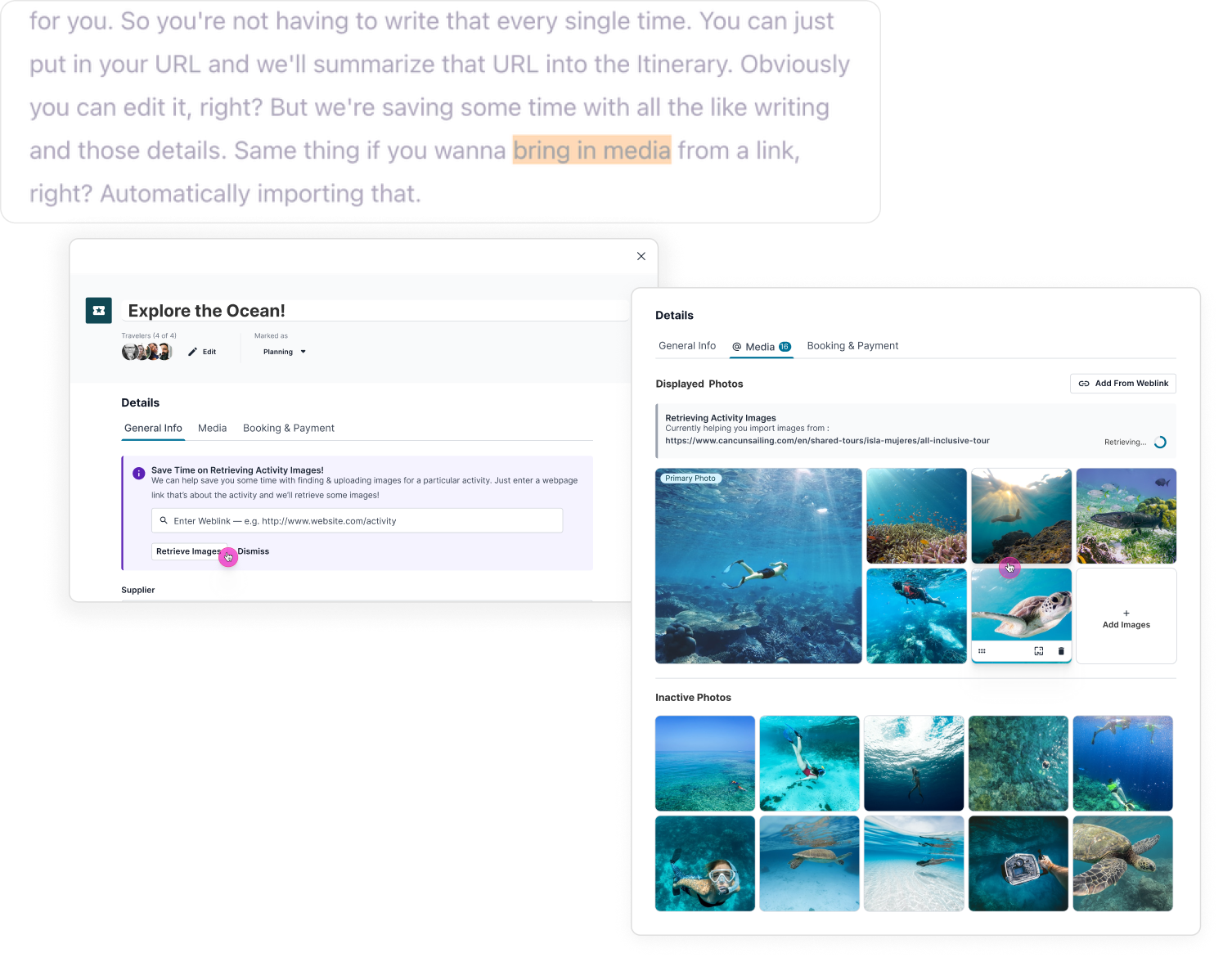 Tern-_-Iterate.Media-Import
